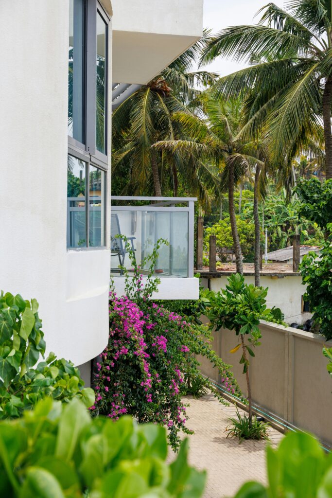 terrace soft landscaping