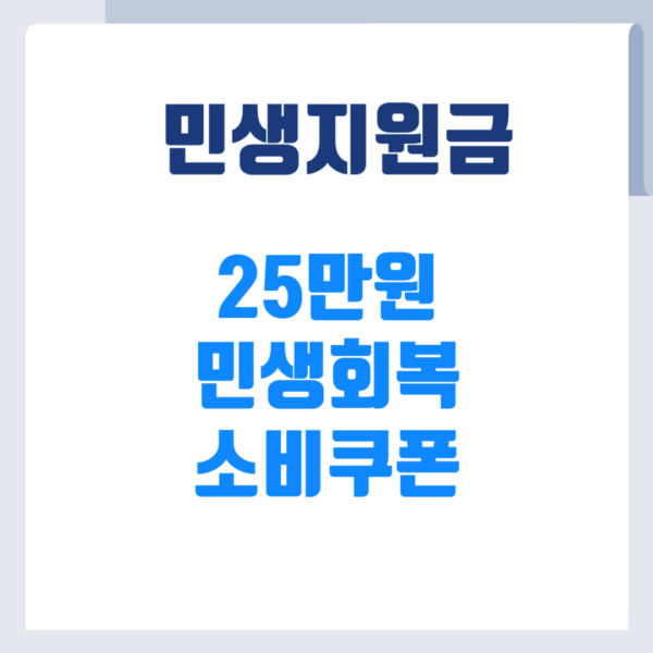 국민지원금
